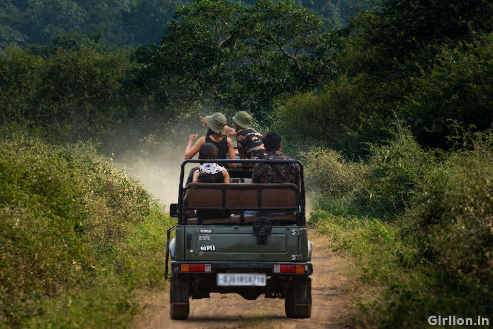 A Thrilling Tour in Gir for 1 Night with 2 Jeeps